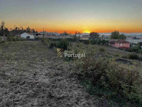 Artigos Rústico e Urbano - Ruína & Terreno para construção com 8,7ha