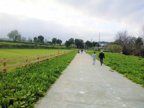 Terreno p/ RC + 4 + Caves _ a 5 min. do Pólo Universitário (H.S.João)