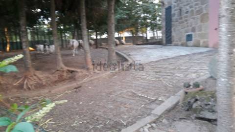 Quintinha c/ 2 Ha em Penafiel