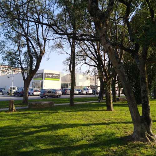 Moradia T4 c/ Jardim e Terraço - S. Mamede (Parque da Cidade)