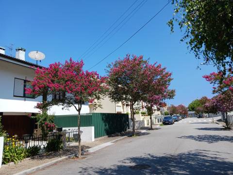 Moradia T4 c/ Jardim e Terraço - S. Mamede (Parque da Cidade)