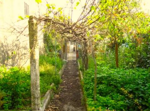 Moradia na Circunvalação, a 650m do Hospital de S. João e IPO