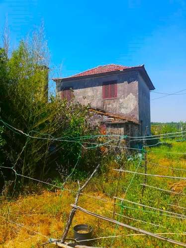 Moradia Isolada T4 Venda em Alfena,Valongo