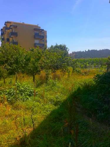 Moradia Isolada T4 Venda em Alfena,Valongo