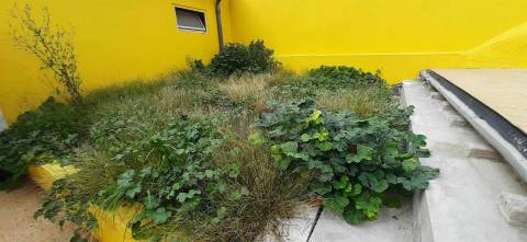 Moradia T3 Venda em Campanhã,Porto