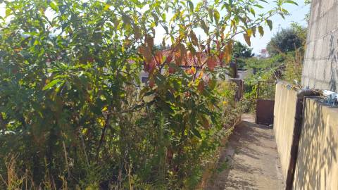 Pequena Moradia T2 com Quintal