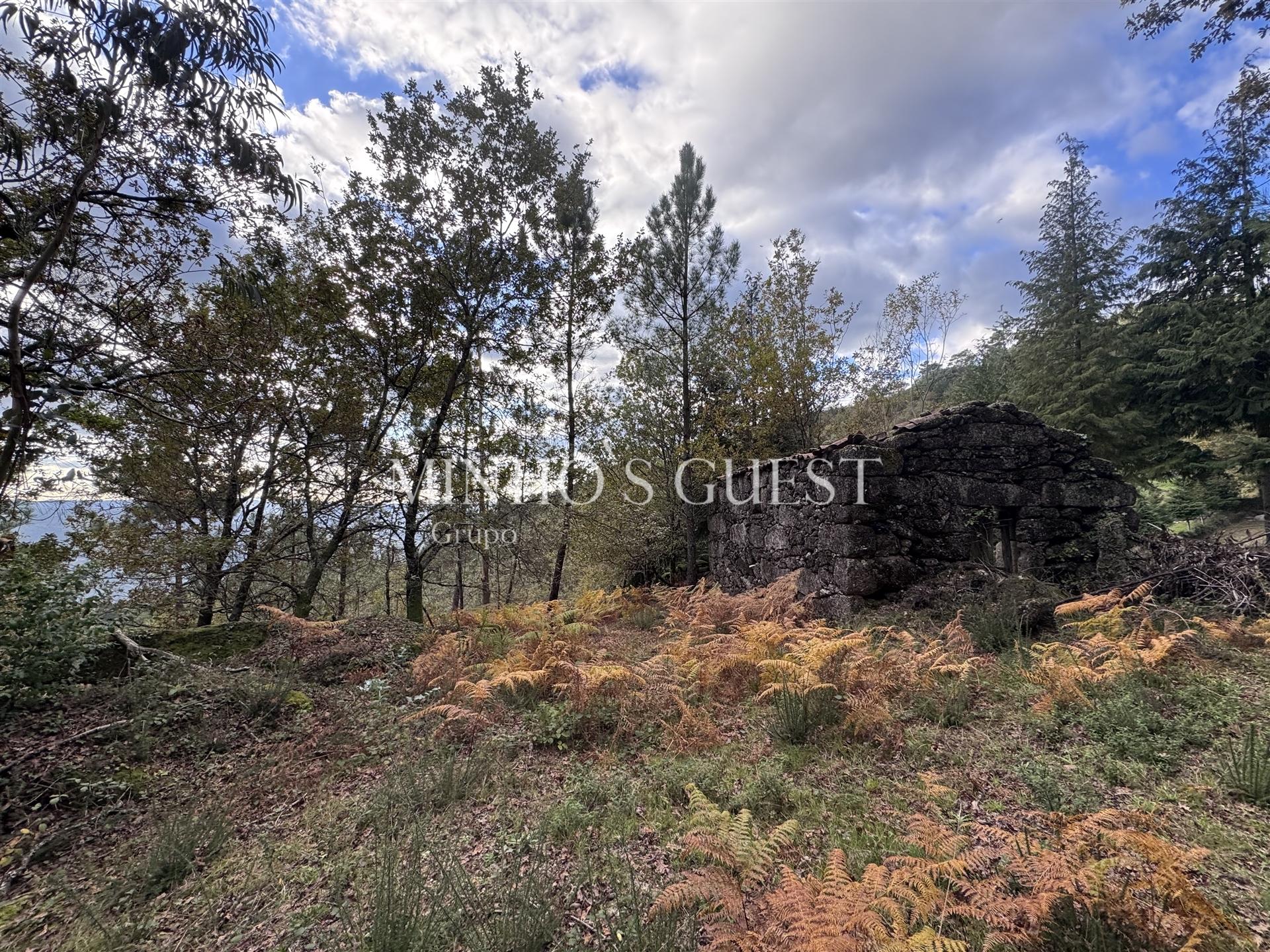 Terreno Único em Vilarinho, Valdosende – Onde a Natureza e as Paisagens falam por si.