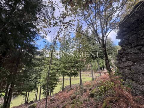 Terreno Único em Vilarinho, Valdosende – Onde a Natureza e as Paisagens falam por si.