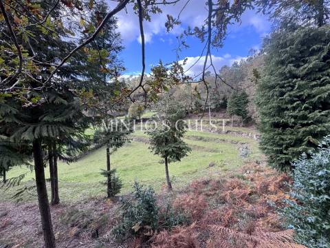 Terreno Único em Vilarinho, Valdosende – Onde a Natureza e as Paisagens falam por si.