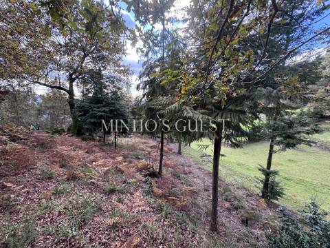 Terreno Único em Vilarinho, Valdosende – Onde a Natureza e as Paisagens falam por si.