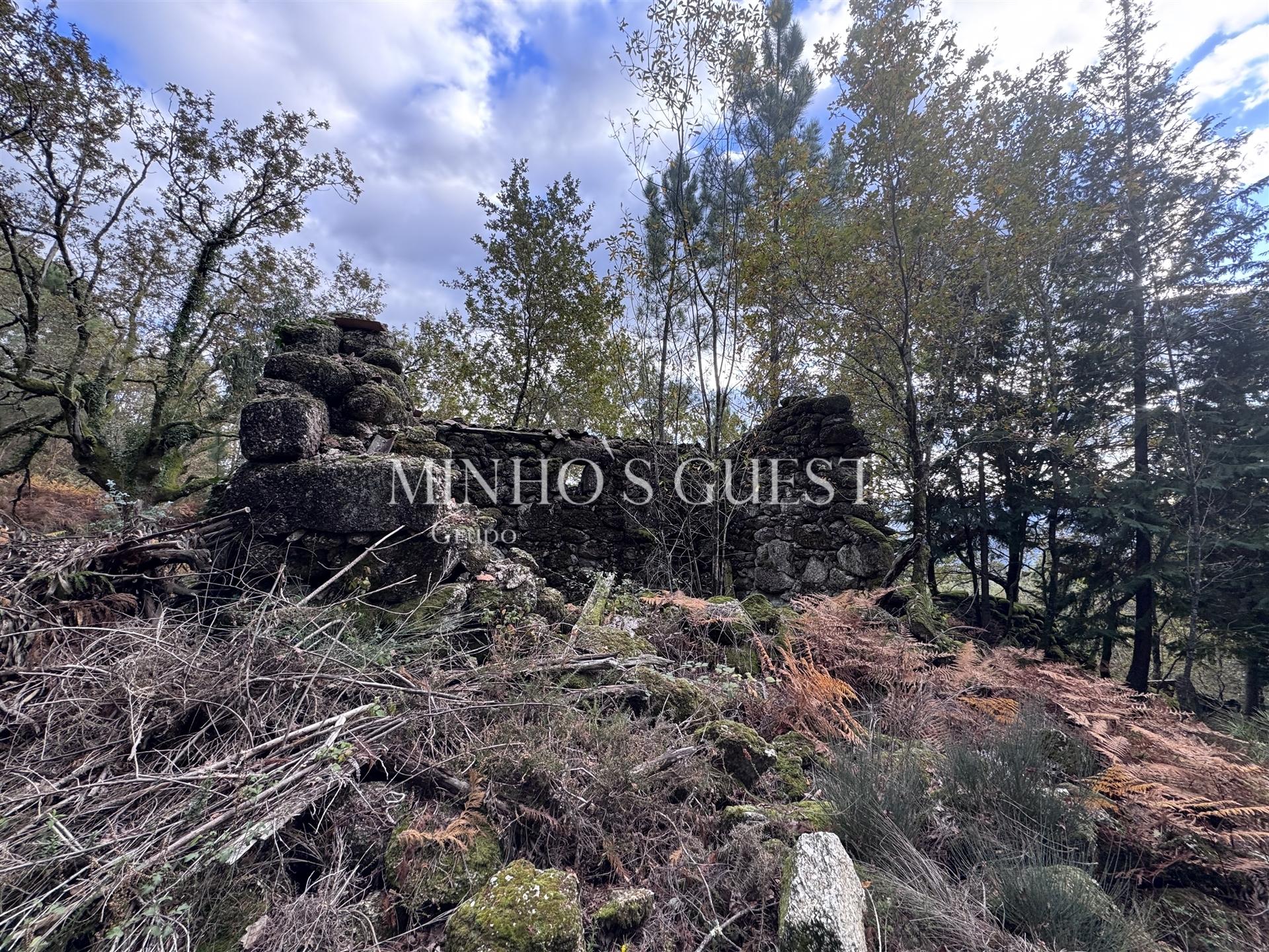 Terreno Único em Vilarinho, Valdosende – Onde a Natureza e as Paisagens falam por si.