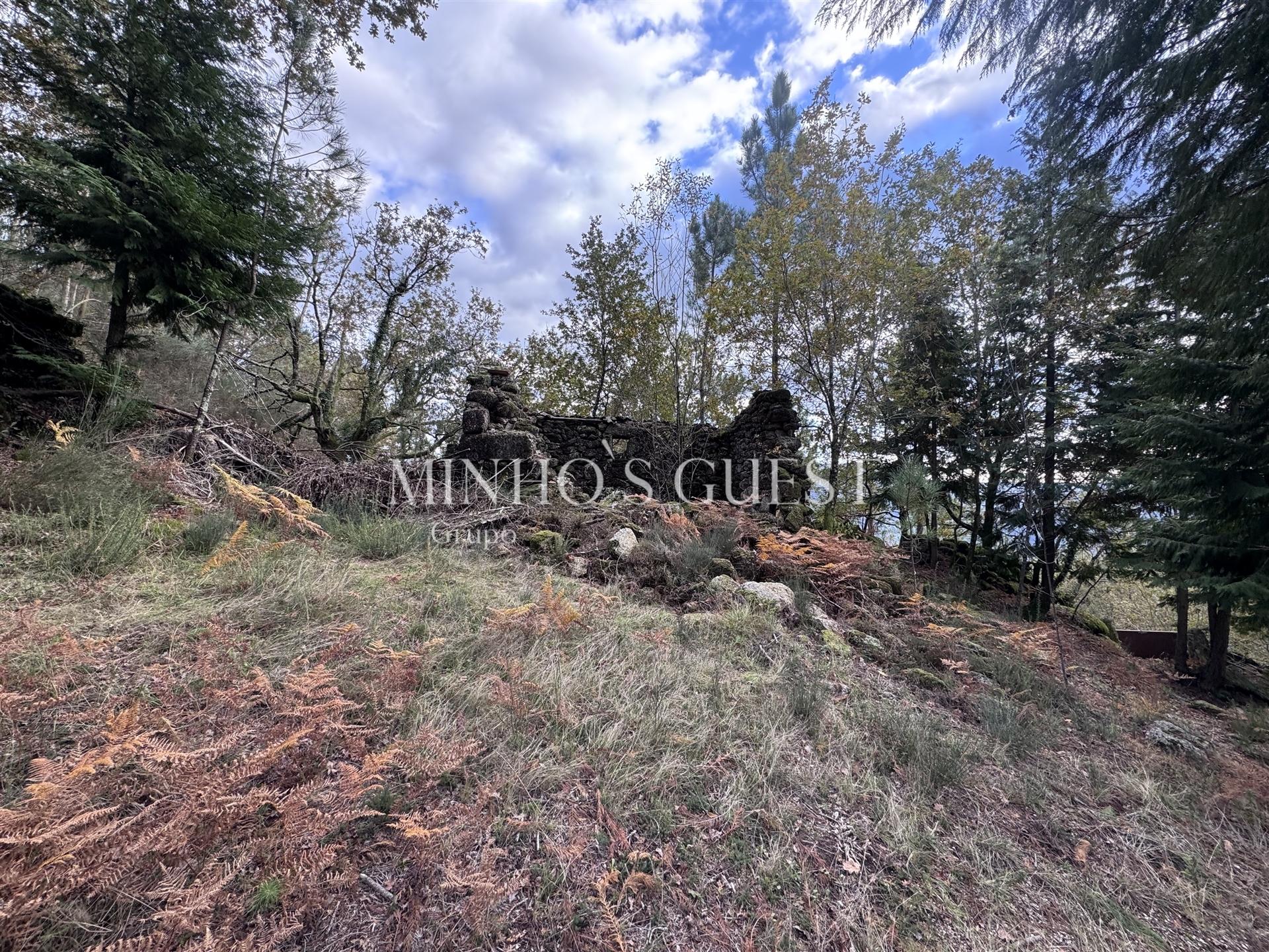 Terreno Único em Vilarinho, Valdosende – Onde a Natureza e as Paisagens falam por si.