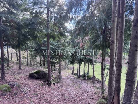 Terreno Único em Vilarinho, Valdosende – Onde a Natureza e as Paisagens falam por si.
