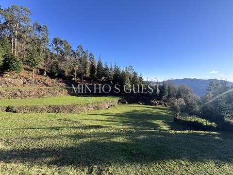 Terreno Único em Vilarinho, Valdosende – Onde a Natureza e as Paisagens falam por si.