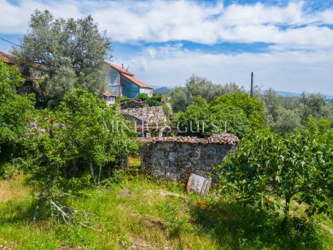 Terreno (700m2) c/ Ruína em Serzedelo – Póvoa de Lanhoso