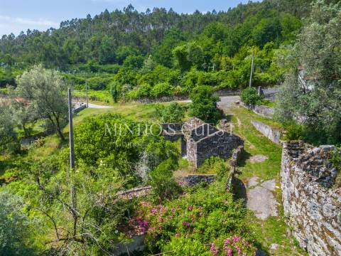 Terreno (700m2) c/ Ruína em Serzedelo – Póvoa de Lanhoso