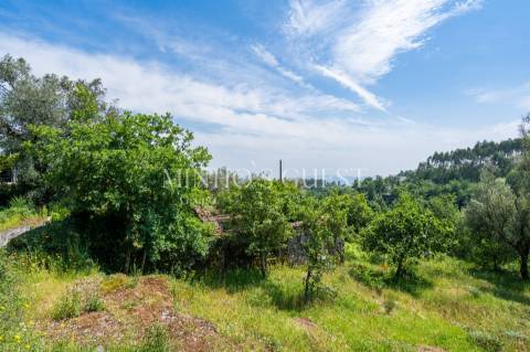 Terreno (700m2) c/ Ruína em Serzedelo – Póvoa de Lanhoso