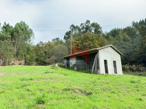 Terreno Agrícola com 4000m2 em Soalhães, Marco de Canaveses