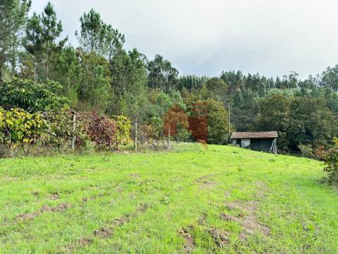 Terreno Agrícola com 4000m2 em Soalhães, Marco de Canaveses