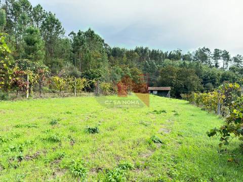 Terreno Agrícola com 4000m2 em Soalhães, Marco de Canaveses