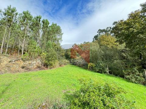 Terreno Agrícola e Florestal com 4000m2 em Soalhães, Marco de Canaveses