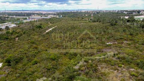 Terreno para Hotel, Retail park ou espaços comerciais do ramo alimentar ou atividades lúdicas.