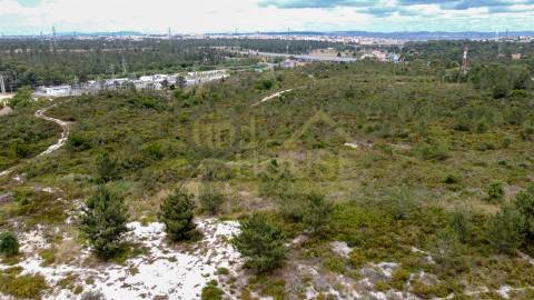 Terreno para Hotel, Retail park ou espaços comerciais do ramo alimentar ou atividades lúdicas.