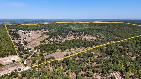 Herdade com total de  140 ha na freguesia da Raposa, Almeirim