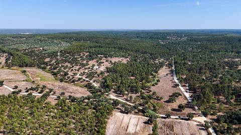 Herdade com total de  140 ha na freguesia da Raposa, Almeirim