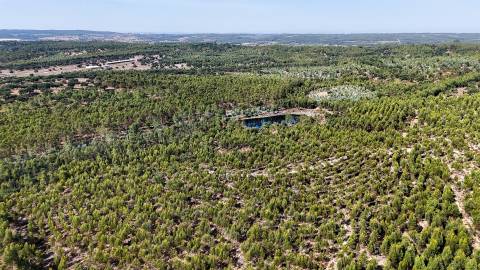 Herdade com total de  140 ha na freguesia da Raposa, Almeirim