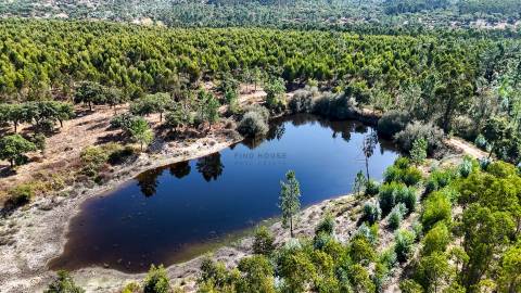 Herdade com total de  140 ha na freguesia da Raposa, Almeirim