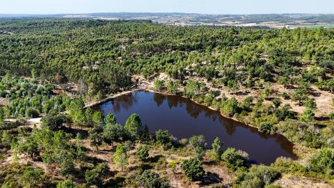 Herdade com total de  140 ha na freguesia da Raposa, Almeirim