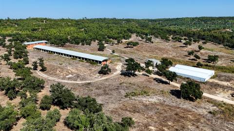 Herdade com total de  140 ha na freguesia da Raposa, Almeirim