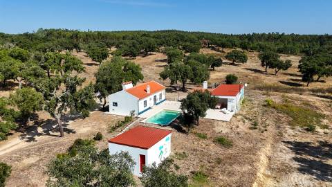 Herdade com total de  140 ha na freguesia da Raposa, Almeirim