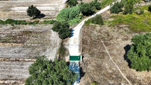 Herdade com total de  140 ha na freguesia da Raposa, Almeirim