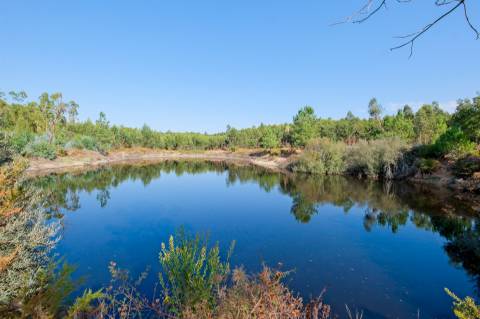 Herdade com total de  140 ha na freguesia da Raposa, Almeirim