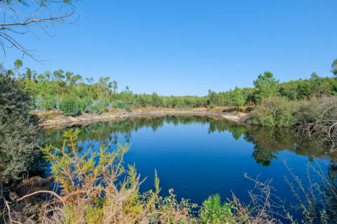 Herdade com total de  140 ha na freguesia da Raposa, Almeirim