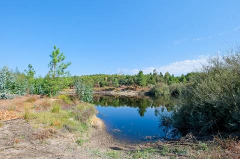 Herdade com total de  140 ha na freguesia da Raposa, Almeirim