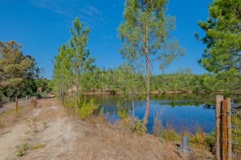Herdade com total de  140 ha na freguesia da Raposa, Almeirim