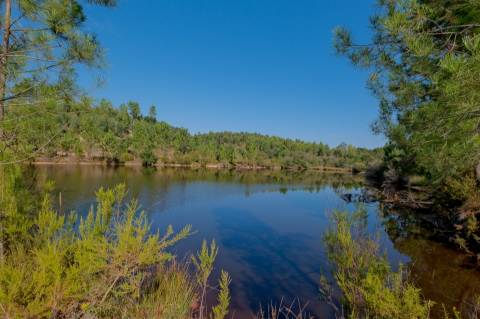 Herdade com total de  140 ha na freguesia da Raposa, Almeirim