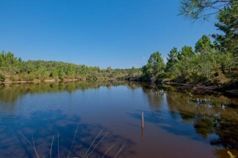 Herdade com total de  140 ha na freguesia da Raposa, Almeirim