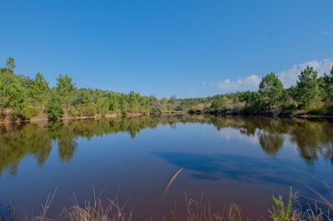Herdade com total de  140 ha na freguesia da Raposa, Almeirim