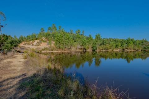 Herdade com total de  140 ha na freguesia da Raposa, Almeirim