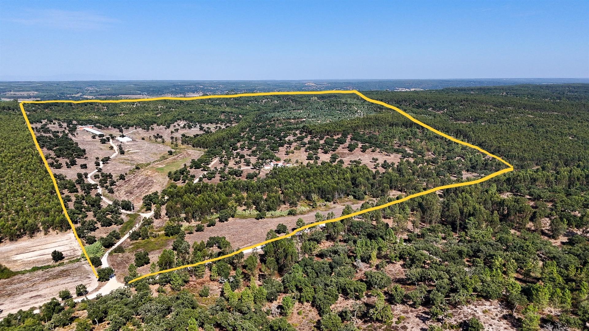 Herdade com total de  140 ha na freguesia da Raposa, Almeirim