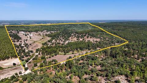 Herdade com total de  140 ha na freguesia da Raposa, Almeirim