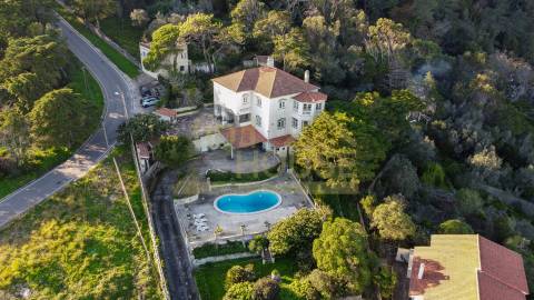 Vende-se Quinta com 13386m2 em São Pedro de Penaferrim, Sintra