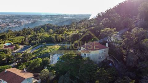 Vende-se Quinta com 13386m2 em São Pedro de Penaferrim, Sintra