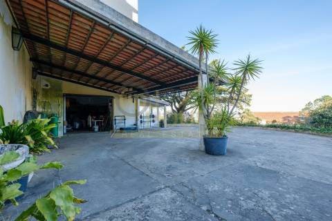 Vende-se Quinta com 13386m2 em São Pedro de Penaferrim, Sintra