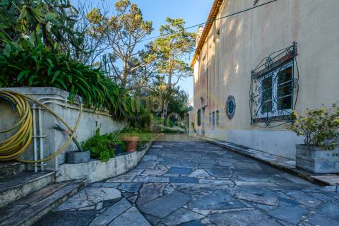 Vende-se Quinta com 13386m2 em São Pedro de Penaferrim, Sintra