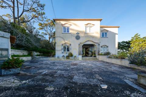 Vende-se Quinta com 13386m2 em São Pedro de Penaferrim, Sintra